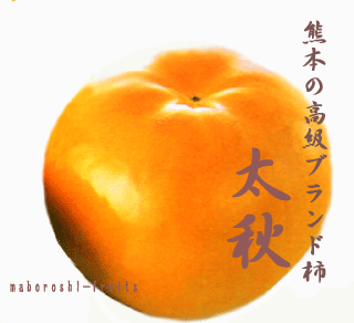 秋の果物｜熊本の高級柿　「太秋柿」　産直販売