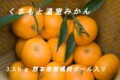熊本ハウスみかん3.5kg 産地柑橘段ボール入　秀