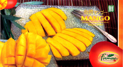 台湾マンゴー まぼろしの果実 ｃｏｍ お中元にアップルマンゴー
